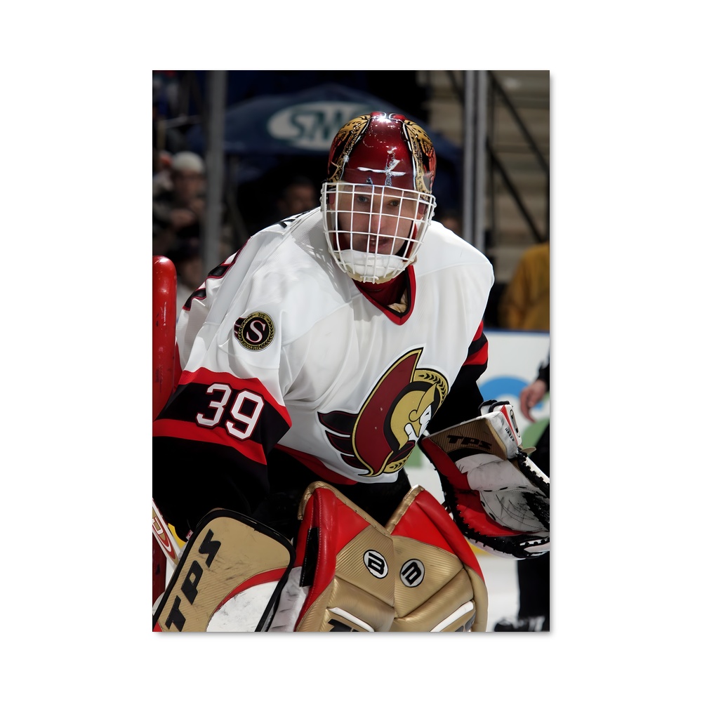 Poster Dominik de hasek